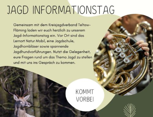 Jungjägertreffen am 16.5.26